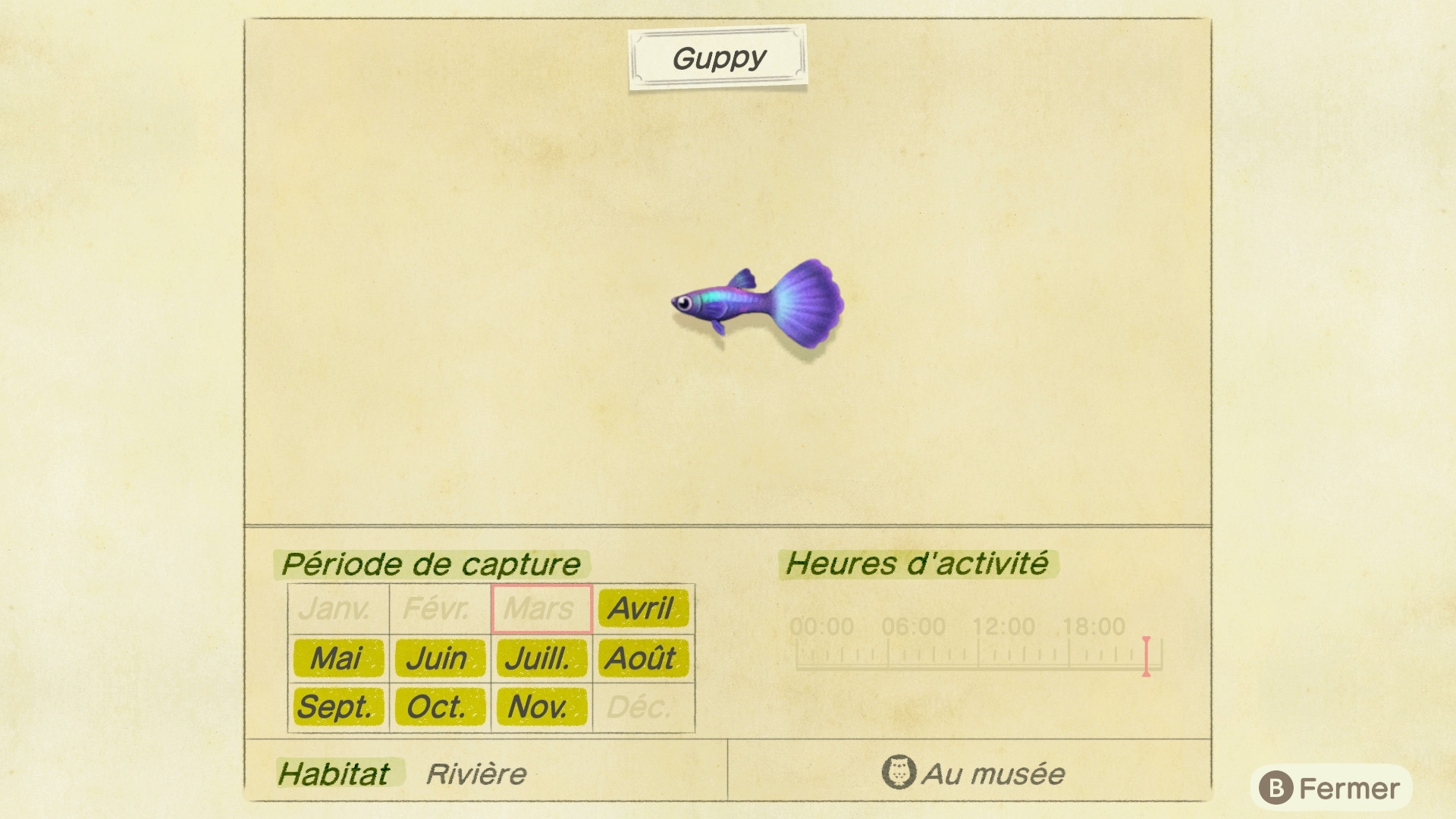 Liste des poissons - guppy - animal crossing new horizons