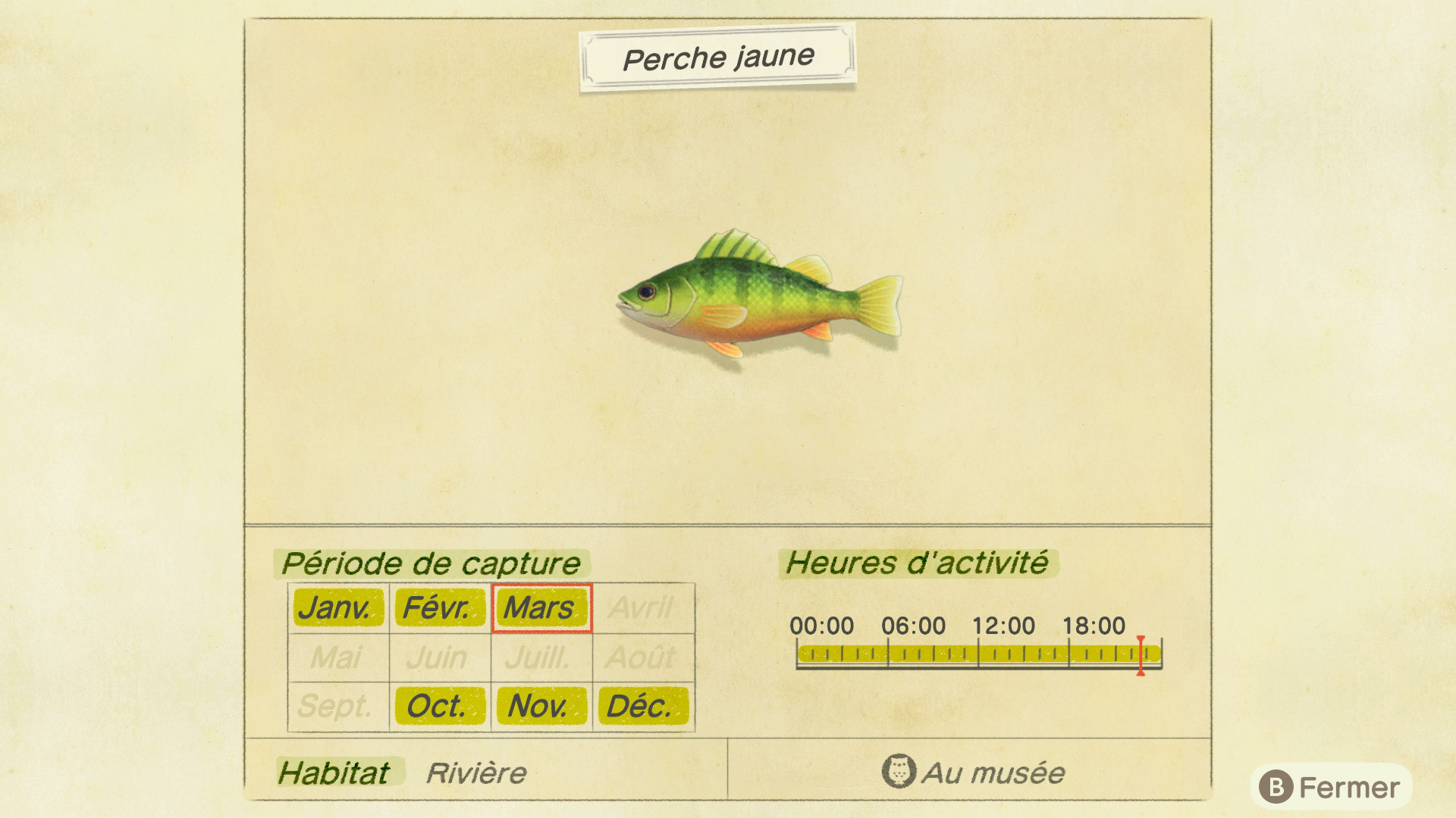 Liste des poissons - perche jaune - animal crossing new horizons