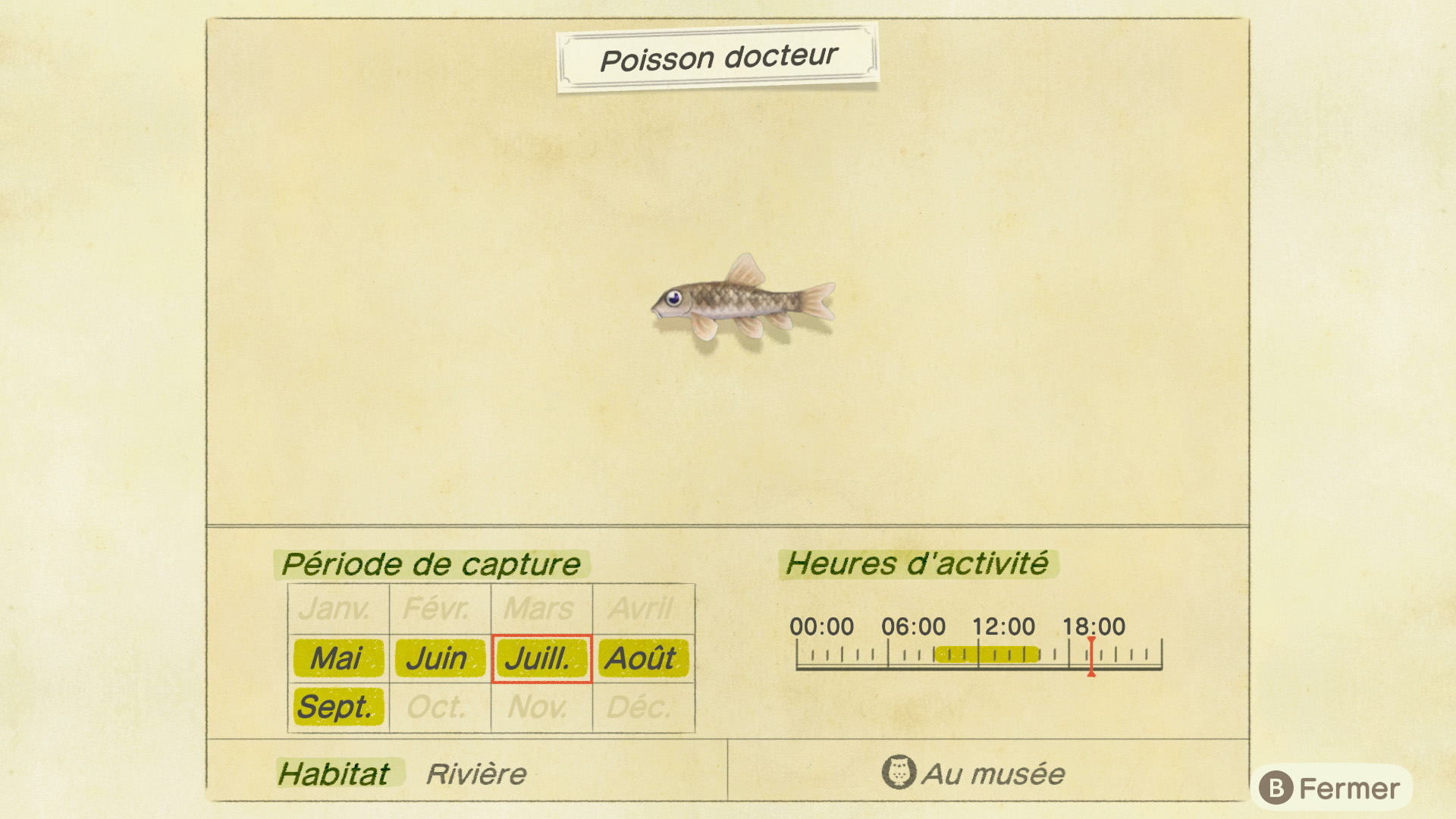 Liste des poissons - poisson docteur - animal crossing new horizons