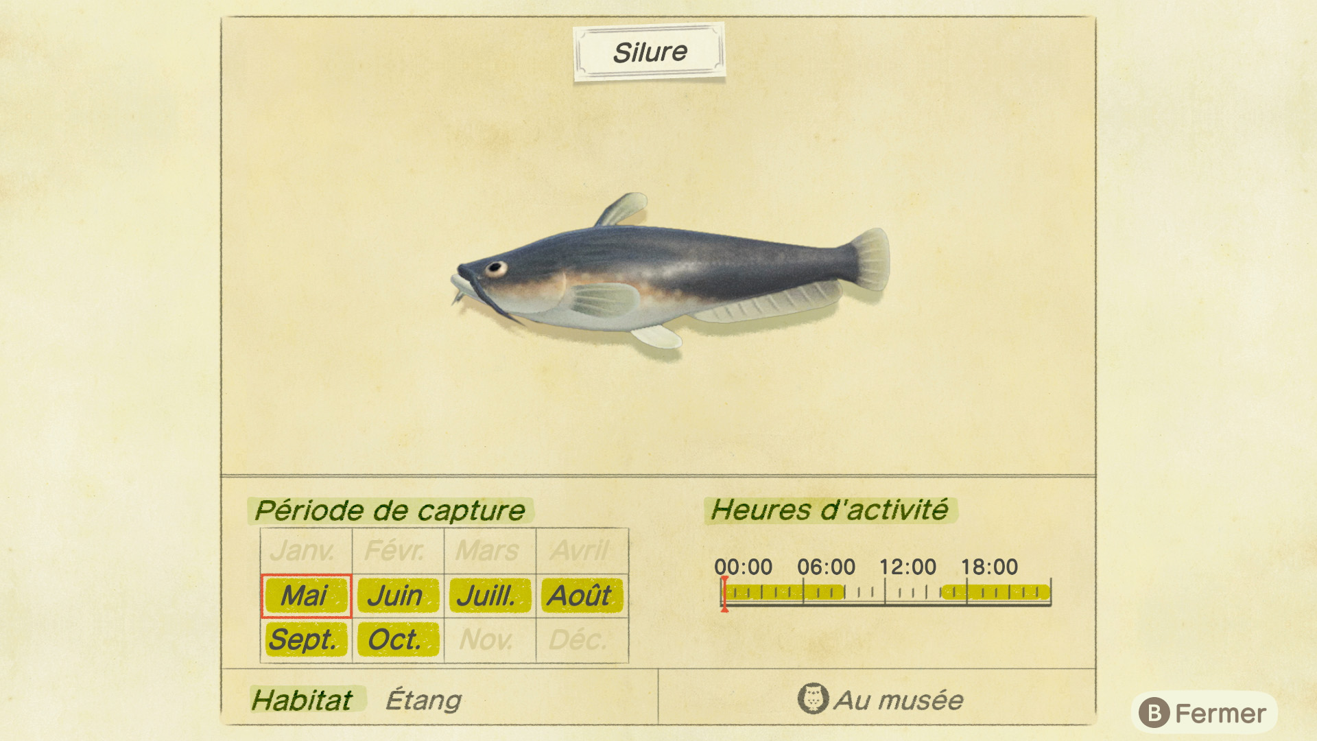 Liste des poissons - silure - animal crossing new horizons