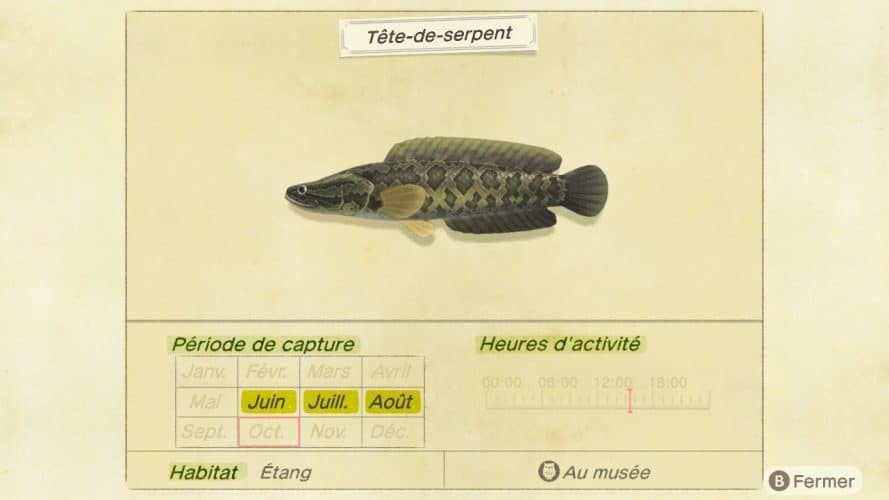 Liste des poissons - Animal Crossing New Horizons