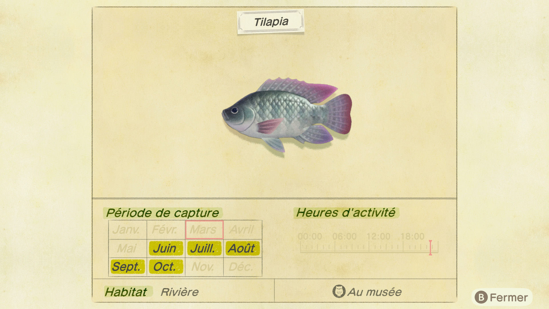 Liste des poissons - tilapia - animal crossing new horizons