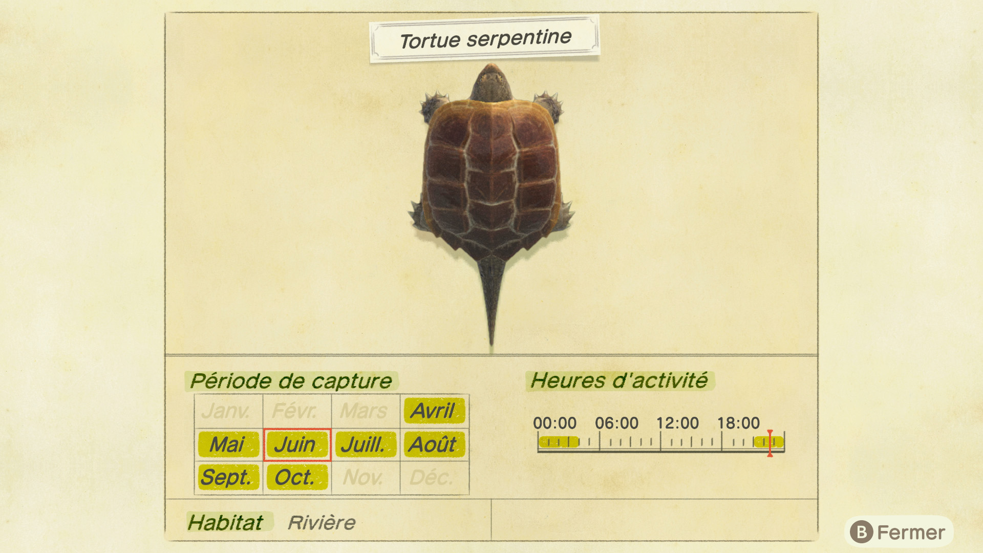 Liste des poissons - tortue serpentine - animal crossing new horizons