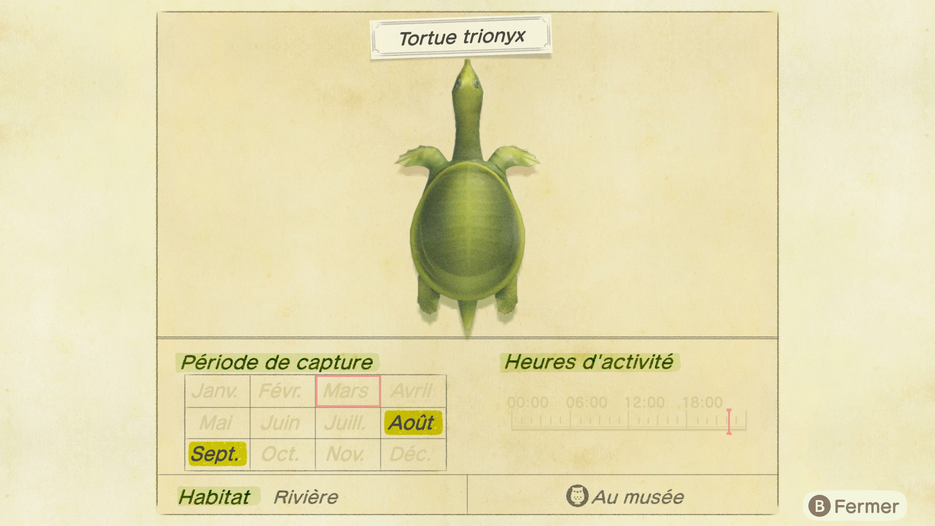 Liste des poissons - tortue trionyx - animal crossing new horizons
