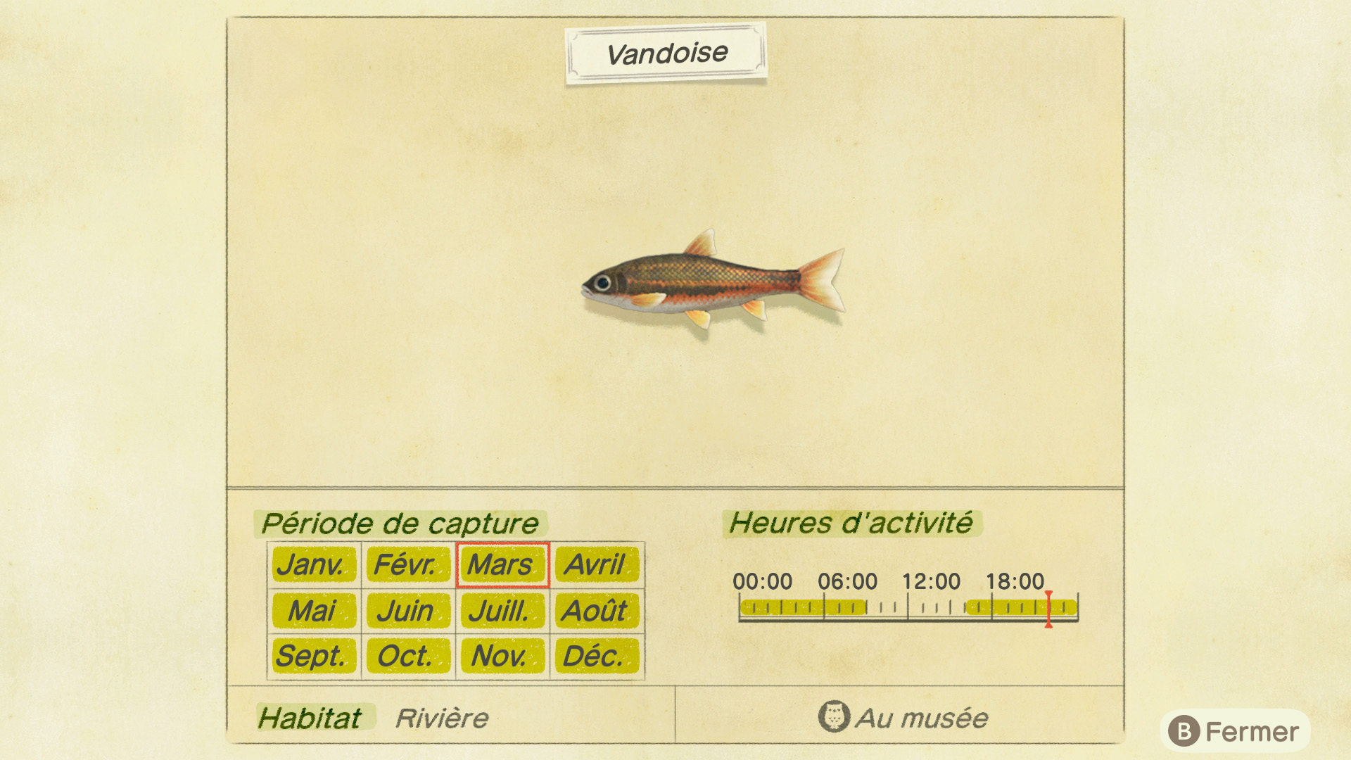 Liste des poissons - vandoise - animal crossing new horizons