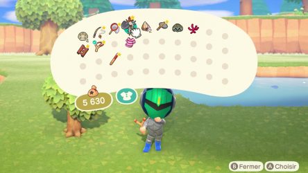 Image d'illustration pour l'article : Organiser son inventaire - Animal Crossing New Horizons