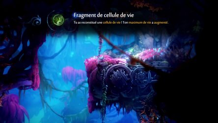 Image d'illustration pour l'article : Tous les fragments de cellules de vie - Ori and the Will of the Wisps