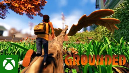 Image d'illustration pour l'article : Grounded sortira en accès anticipé le 28 juillet sur PC et Xbox One
