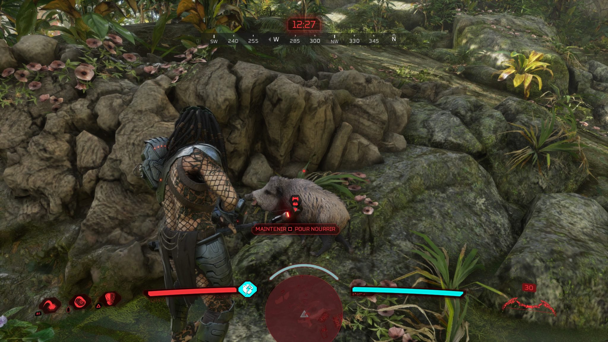Predator: hunting grounds cochon soin