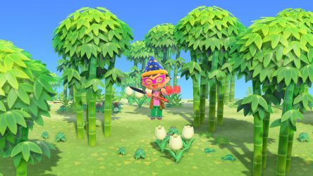 Image d'illustration pour l'article : L'île aux bambous - Animal Crossing New Horizons