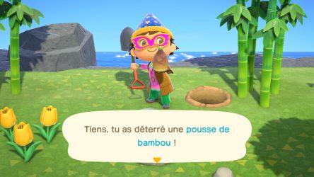Image d'illustration pour l'article : Les pousses de bambou - Animal Crossing New Horizons