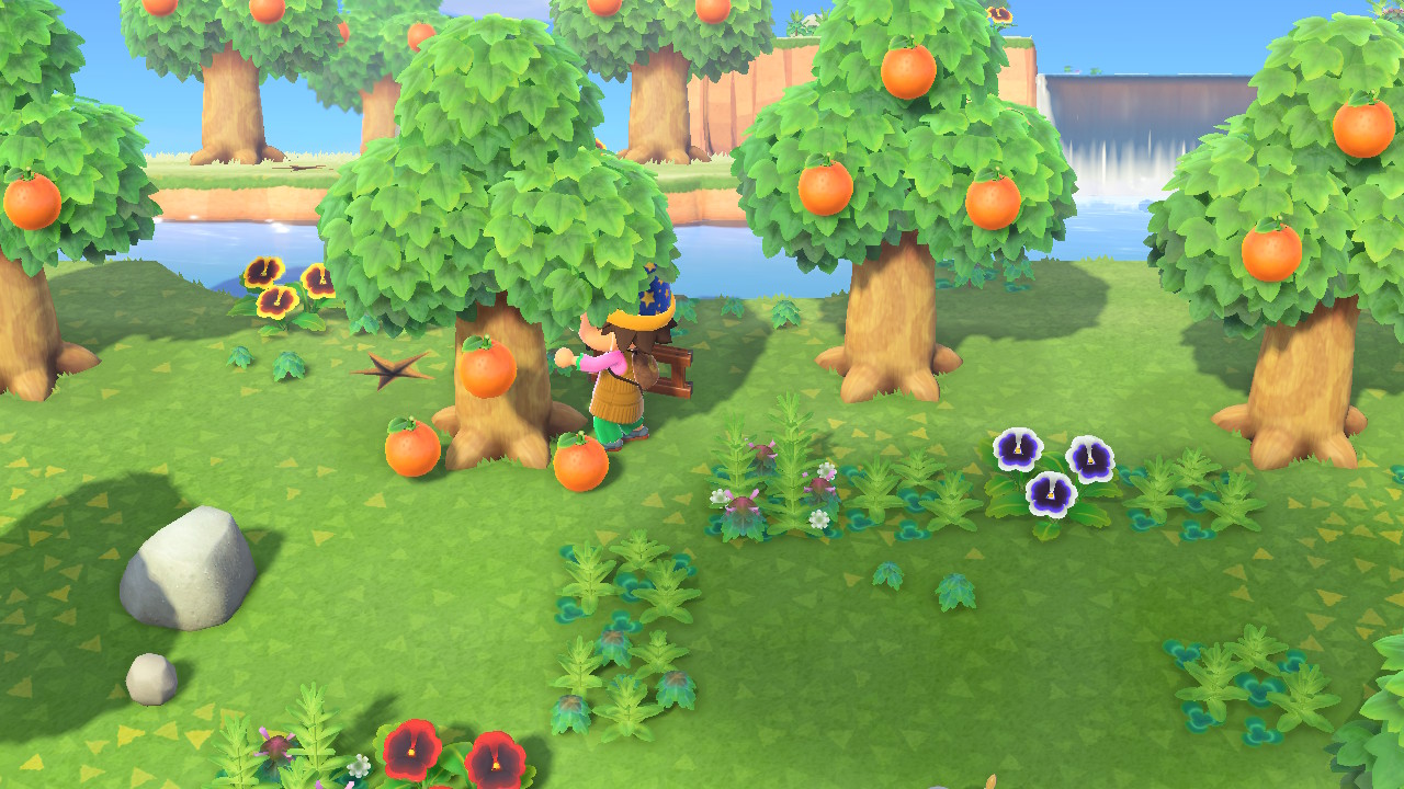 Animal Crossing New Horizons île mystère fruits