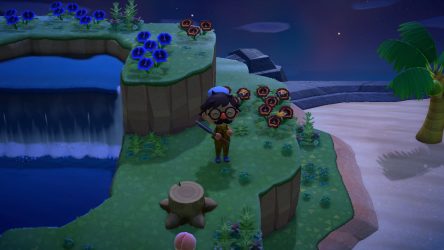 Image d'illustration pour l'article : L'île aux fleurs hybrides - Animal Crossing New Horizons