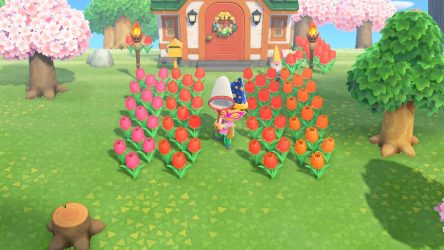 Image d'illustration pour l'article : Comment faire durer vos outils plus longtemps - Animal Crossing New Horizons