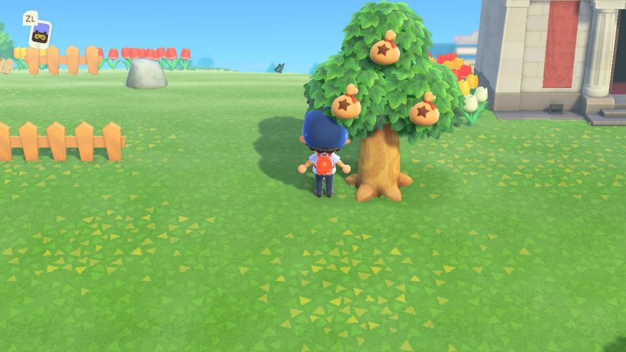 Animal Crossing New Horizons screen arbre à clochette