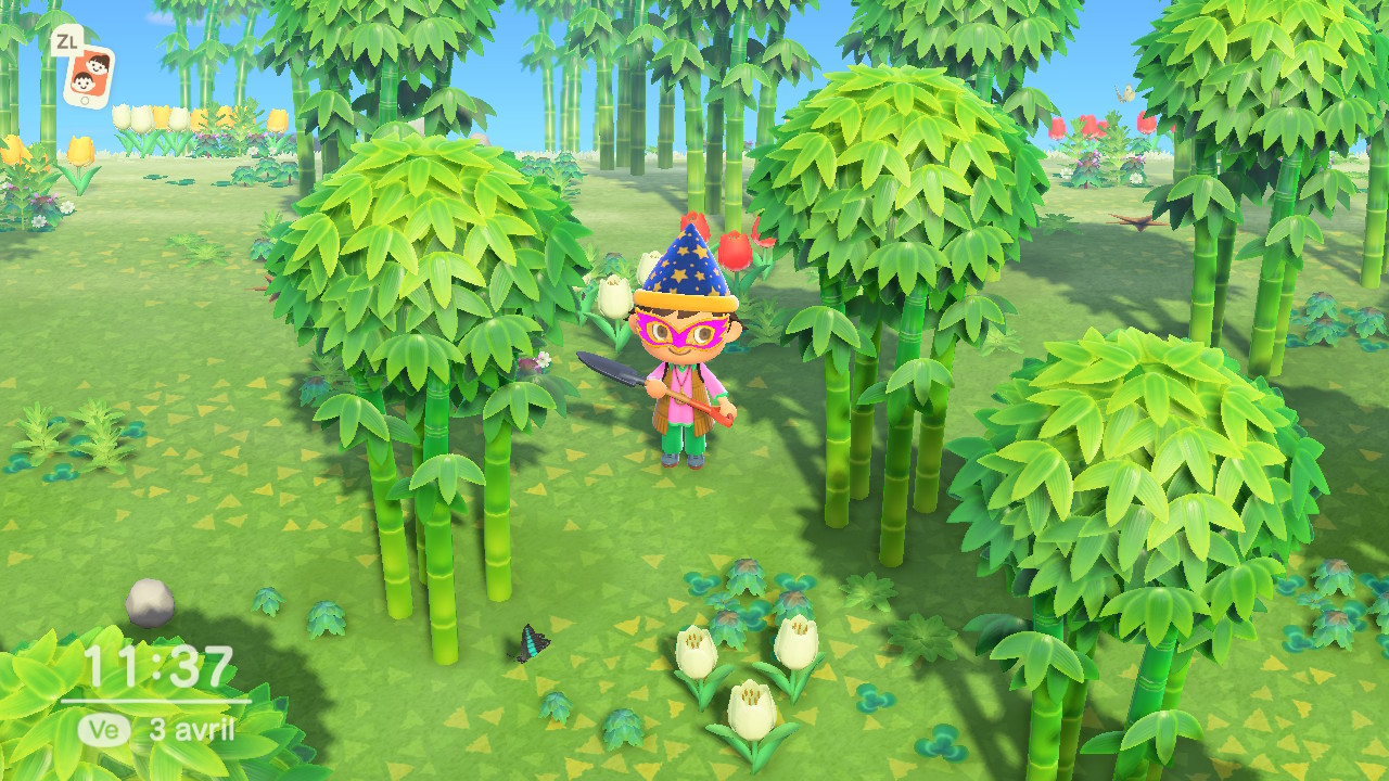 Les pousses de bambou Guide Animal Crossing New Horizons