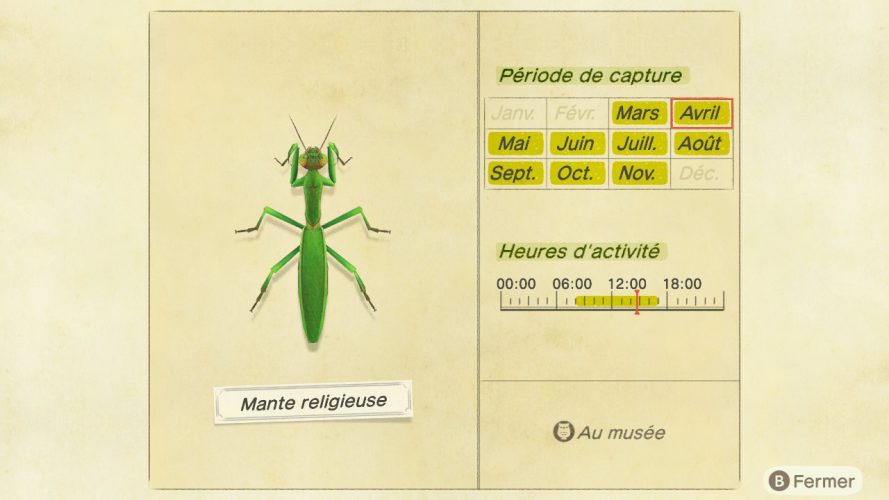Liste des insectes Animal Crossing New Horizons | Guide