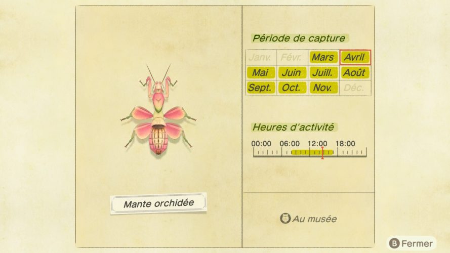 Tous Les Insecte Animal Crossing New Horizon Liste des insectes Animal Crossing New Horizons | Guide