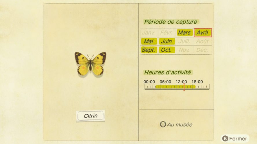 Liste des insectes Animal Crossing New Horizons | Guide