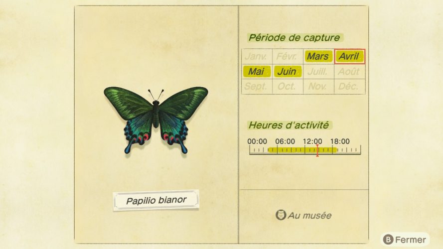 Tableau Insectes Animal Crossing New Horizon Liste des insectes Animal Crossing New Horizons | Guide