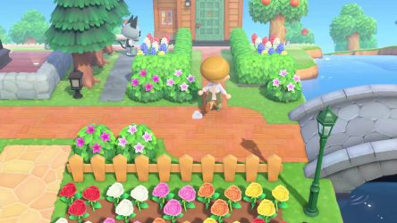 Image d'illustration pour l'article : Guide des buissons - Animal Crossing New Horizons