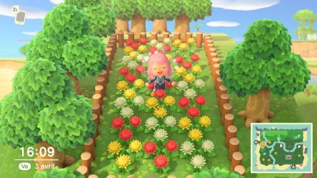 Image d'illustration pour l'article : Guide des Fleurs - Animal Crossing New Horizons