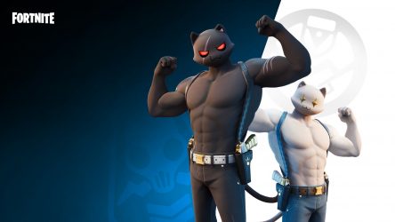 Image d'illustration pour l'article : Facétie de Miaousclé : Mission finale | Guide Fortnite Saison 2