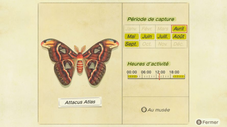Liste des insectes Animal Crossing New Horizons Guide