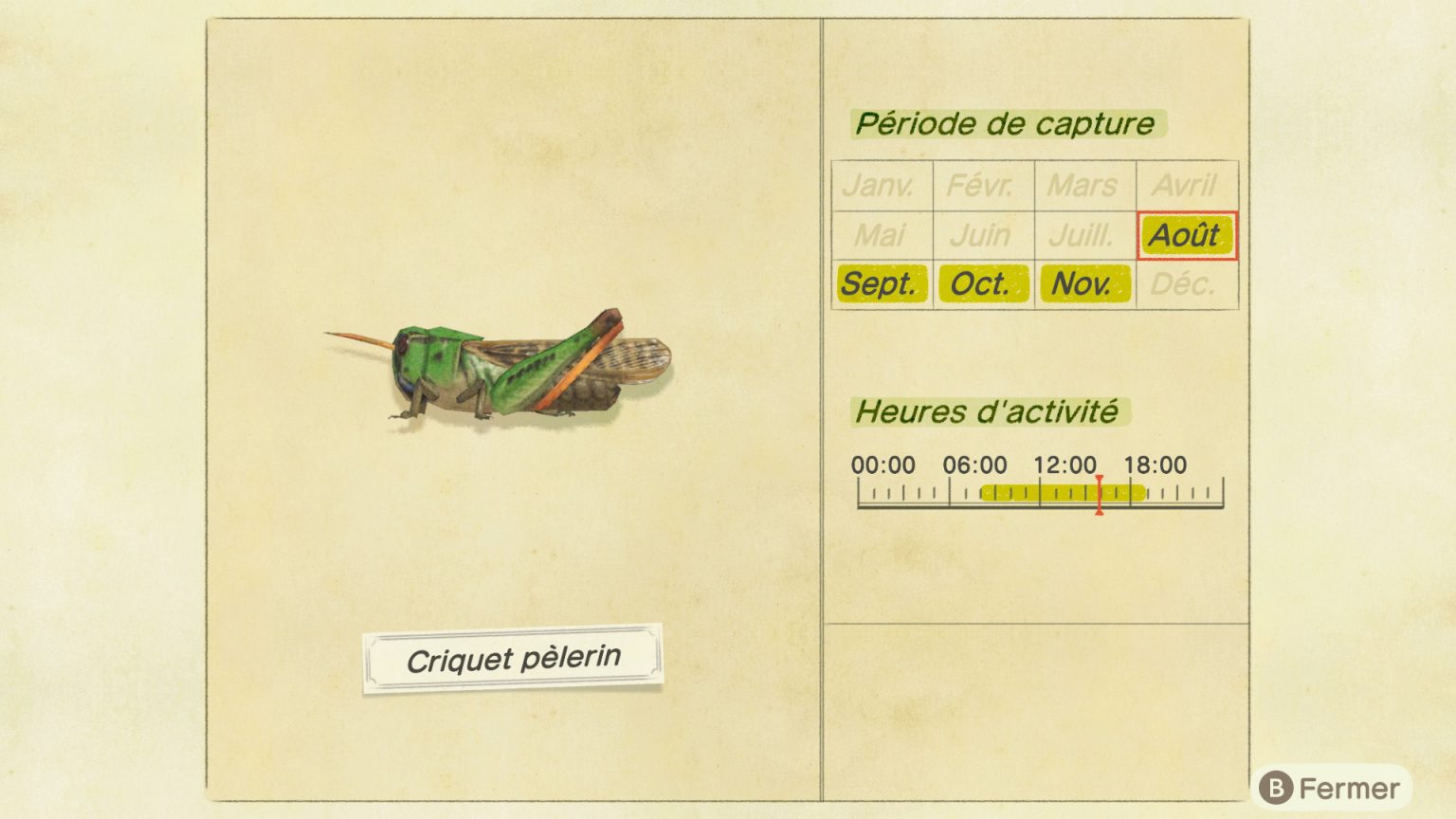 Liste des insectes Animal Crossing New Horizons | Guide