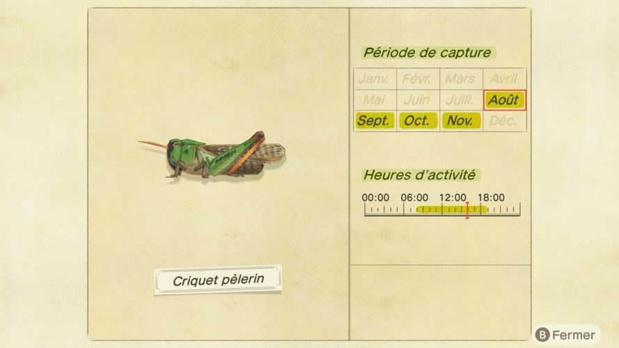 Liste des insectes Animal Crossing New Horizons | Guide