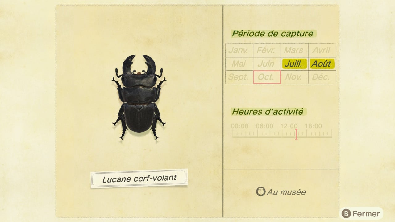 Guide insecte animal crossing new horizons lucane cerf volant 5