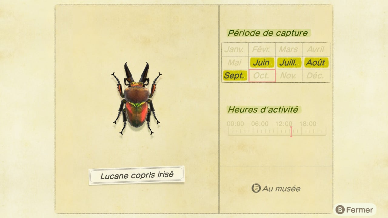 Guide insecte animal crossing new horizons lucane corps irise 6