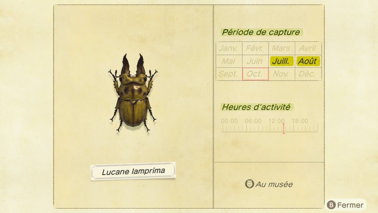 Guide insecte animal crossing new horizons lucane lamprima 7