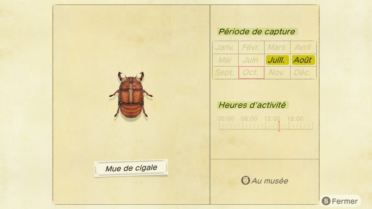 guide insecte animal crossing new horizons mue de cigale 1