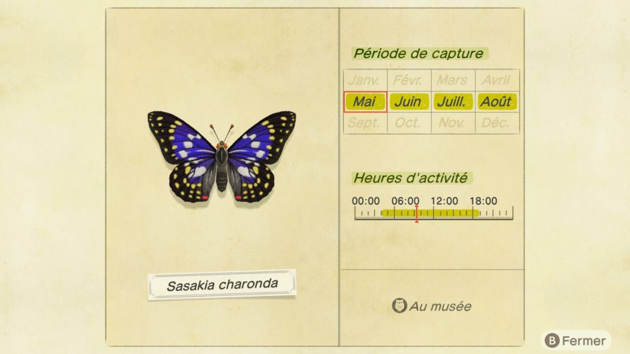 Liste des insectes Animal Crossing New Horizons | Guide