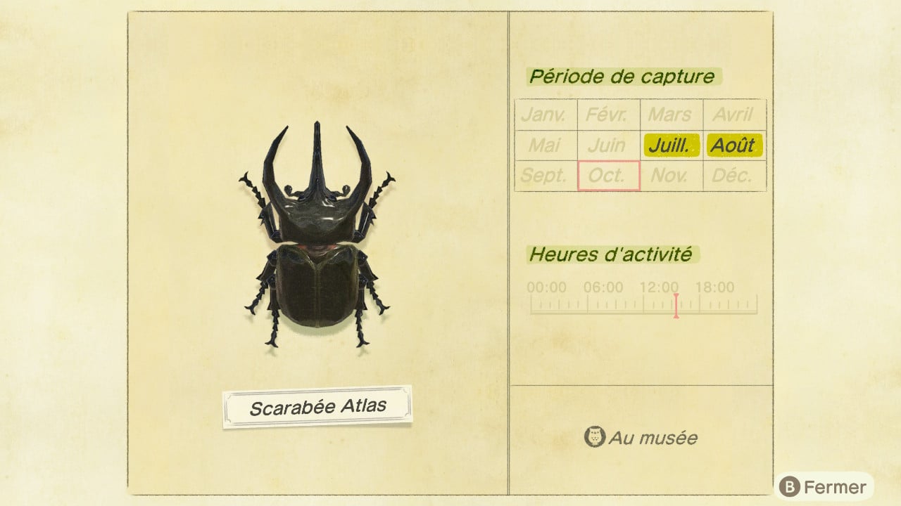 Guide insecte animal crossing new horizons scarabee atlas 9