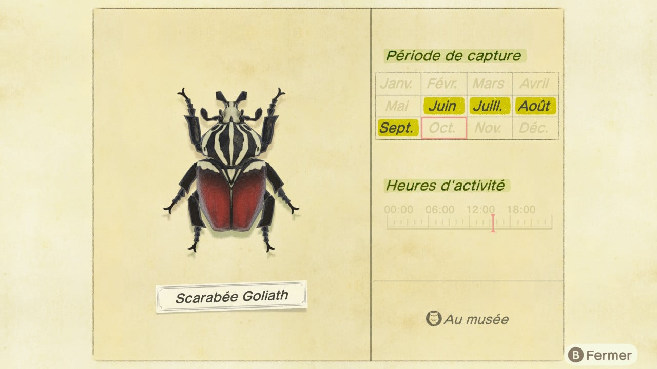 Guide insecte animal crossing new horizons scarabee goliath 4