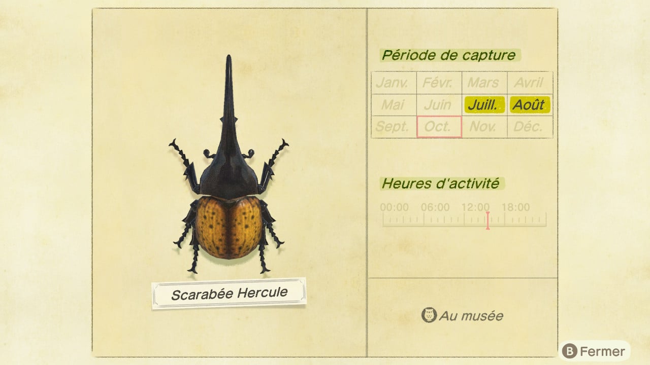 Guide insecte animal crossing new horizons scarabee hercule 10