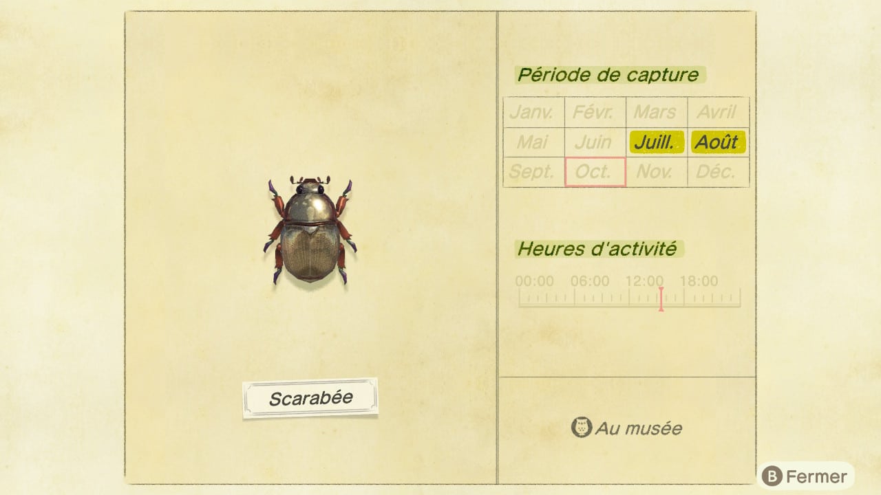 guide insecte animal crossing new horizons scarabee 3