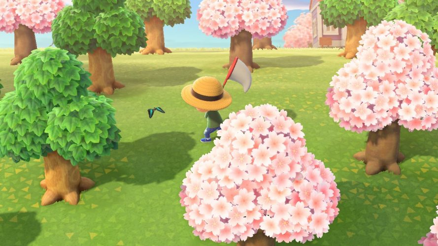 Tout savoir sur les Insectes Guide Animal Crossing New Horizons