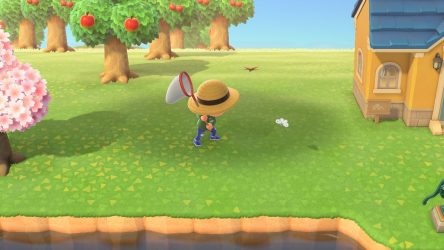 Image d'illustration pour l'article : Guide des insectes - Animal Crossing New Horizons