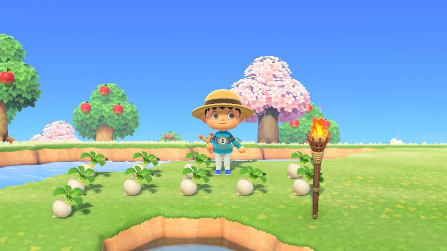 Tout sur les navets Guide Animal Crossing New Horizons