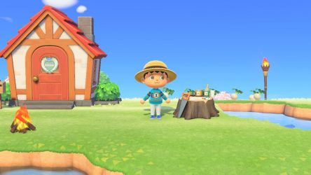 Image d'illustration pour l'article : Objets, outils et artisanat - Animal Crossing New Horizons