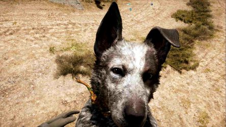 Image d'illustration pour l'article : Comment débloquer Boomer ? - Far Cry 5