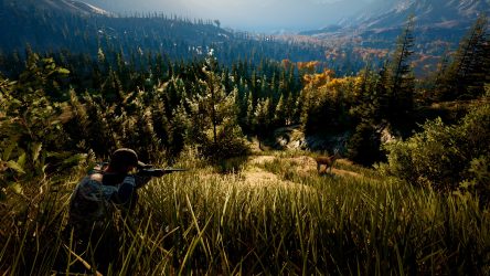 Image d'illustration pour l'article : Hunting Simulator 2 est disponible sur PlayStation 4 et Xbox One