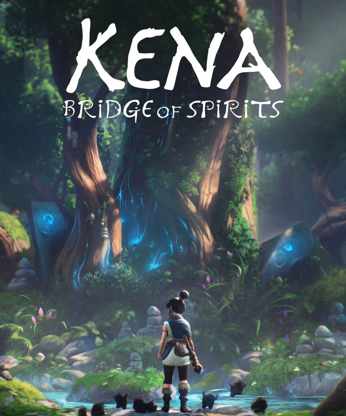 Kena : Bridge of Spirits jaquette