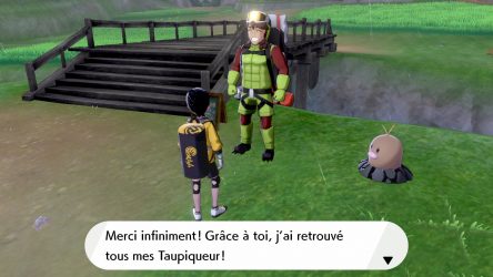 Image d'illustration pour l'article : Où trouver les 151 Taupiqueur - Pokémon Epée et Bouclier - L'île Solitaire de l'armure