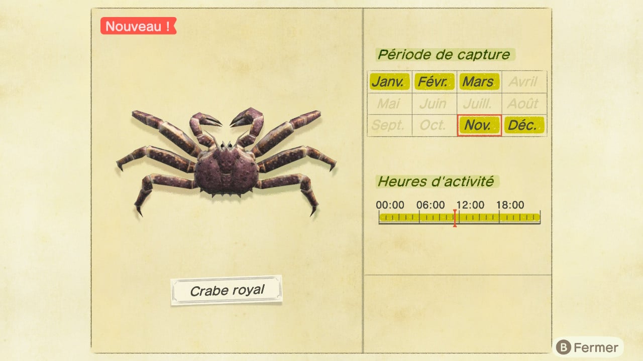 Crabe royal 24