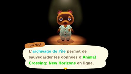 Image d'illustration pour l'article : Tout savoir sur l'archivage de l'île - Animal Crossing New Horizons