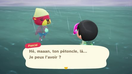 Image d'illustration pour l'article : Pascal - Animal Crossing New Horizons